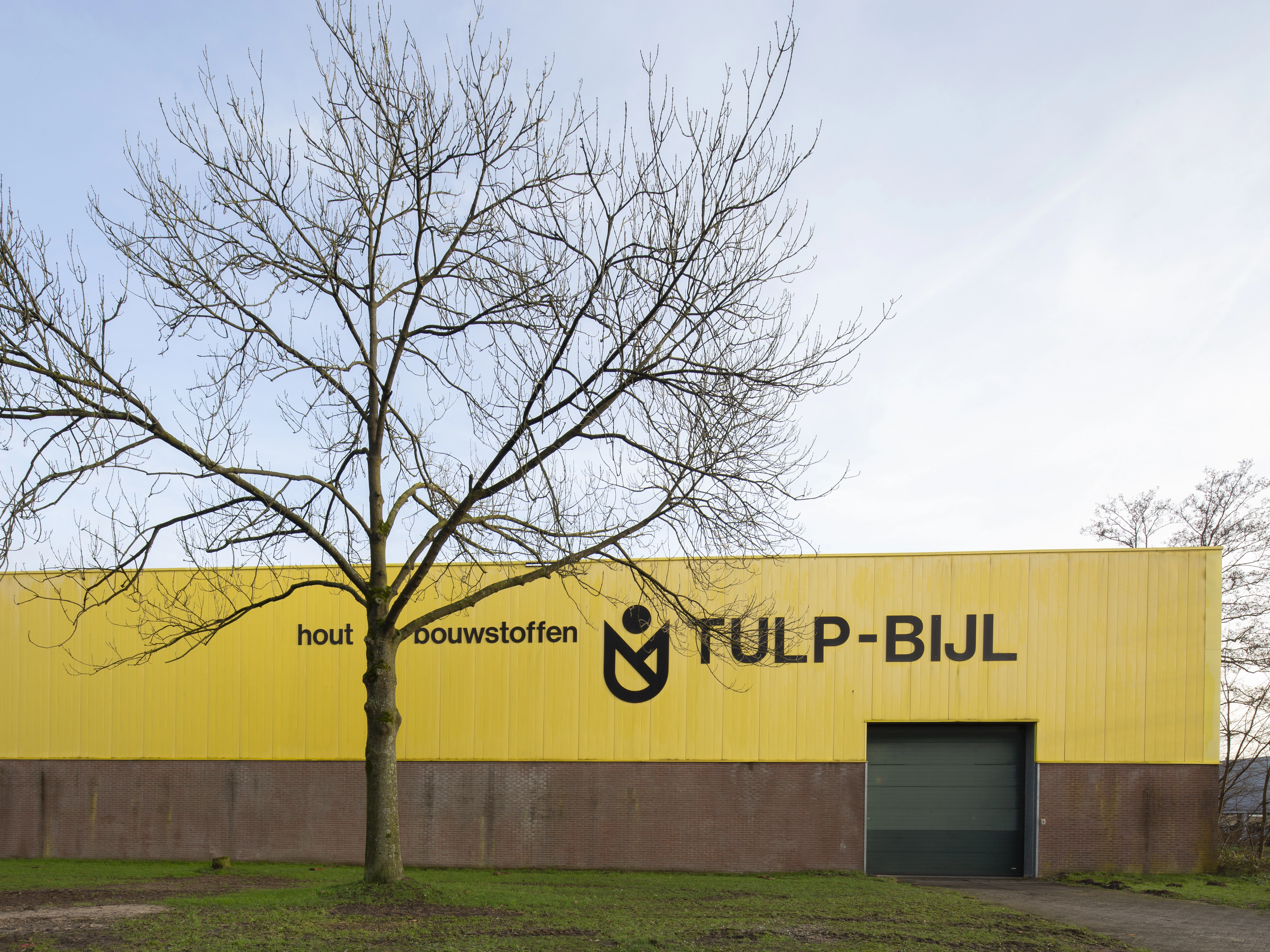 TULP 7084