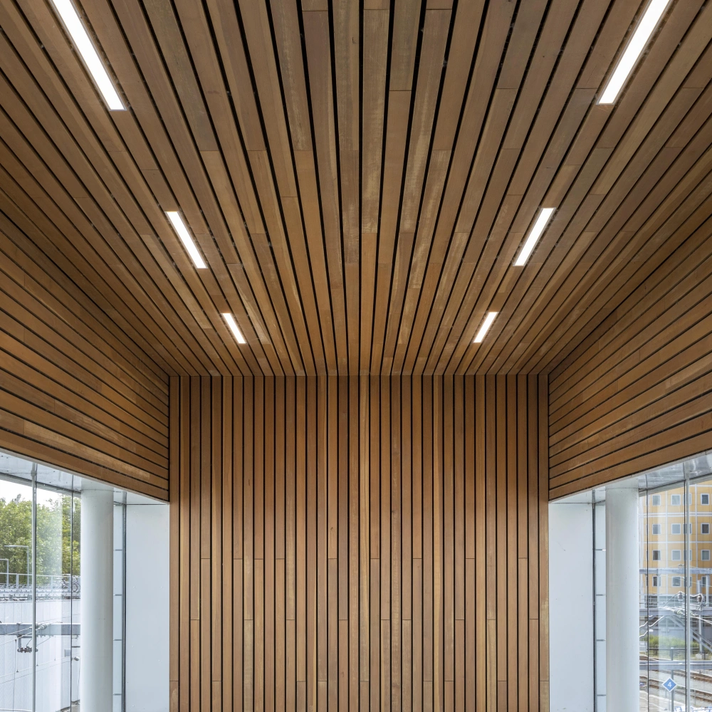 \\172.18.107.1\Data\TulpBijl\ERP\1.Tulp\IT\Webshop\Foto\Alkmaar NS-2019.jpg