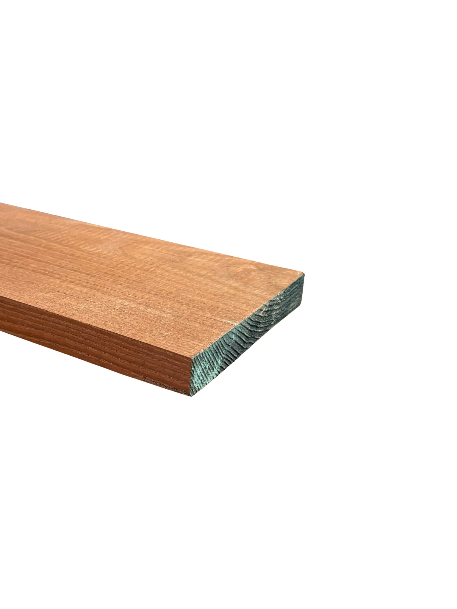 \\172.18.107.1\Data\TulpBijl\ERP\1.Tulp\IT\Webshop\Foto\022x145 mm XL-Thermo essen.png