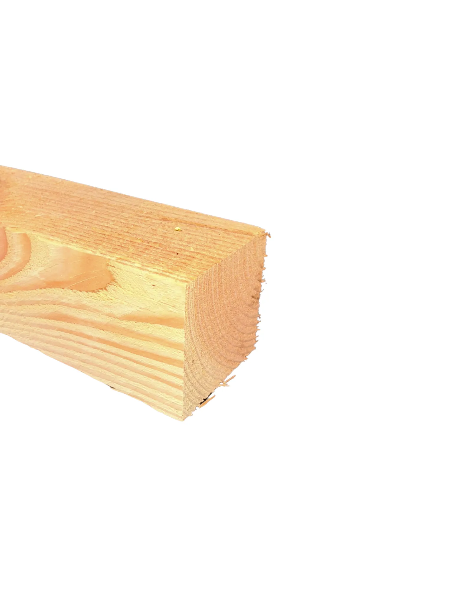 \\172.18.107.1\Data\TulpBijl\ERP\1.Tulp\IT\Webshop\Foto\120x120 mm douglas.png