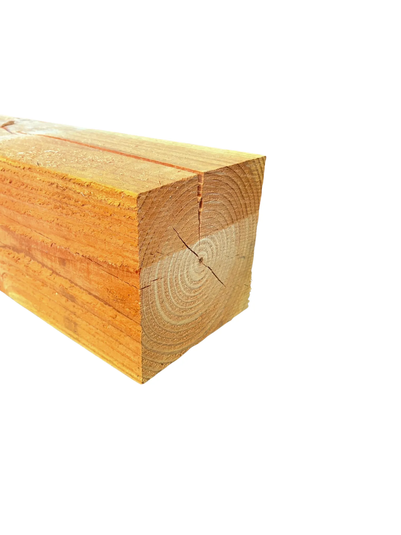 \\172.18.107.1\Data\TulpBijl\ERP\1.Tulp\IT\Webshop\Foto\200x200 mm douglas.png