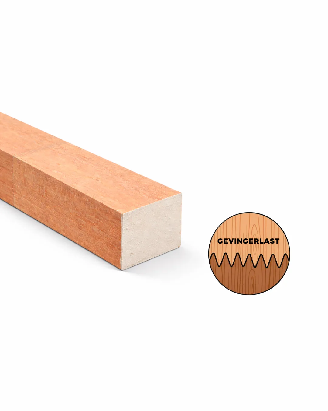 \\172.18.107.1\Data\TulpBijl\ERP\1.Tulp\IT\Webshop\Foto\060x084 meranti gevingerlast.png